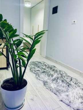Lovely Apartment at the city of Tirana